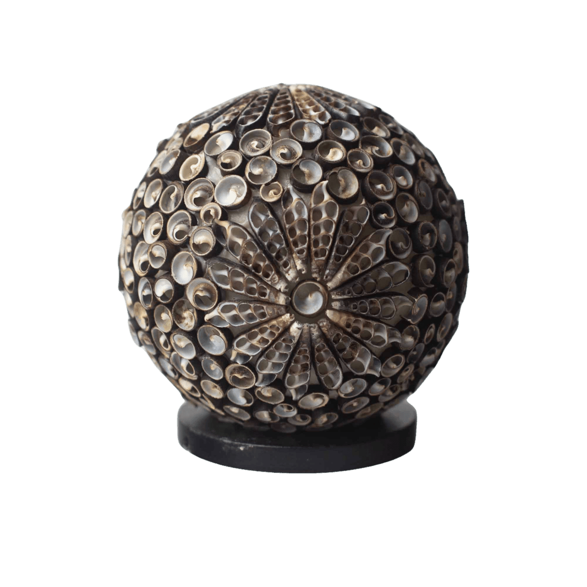 BOHO - MUSCHEL DEKOLAMPE - BRAUN KUGEL - Lapis Mystica - 